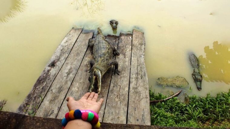 iquitos-6-hour-wonderful-wildlife-guided-tour