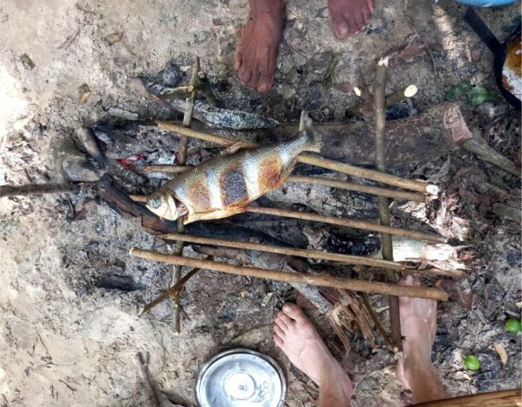 iquitos-private-tour-of-the-pacaya-samiria-national-reserve