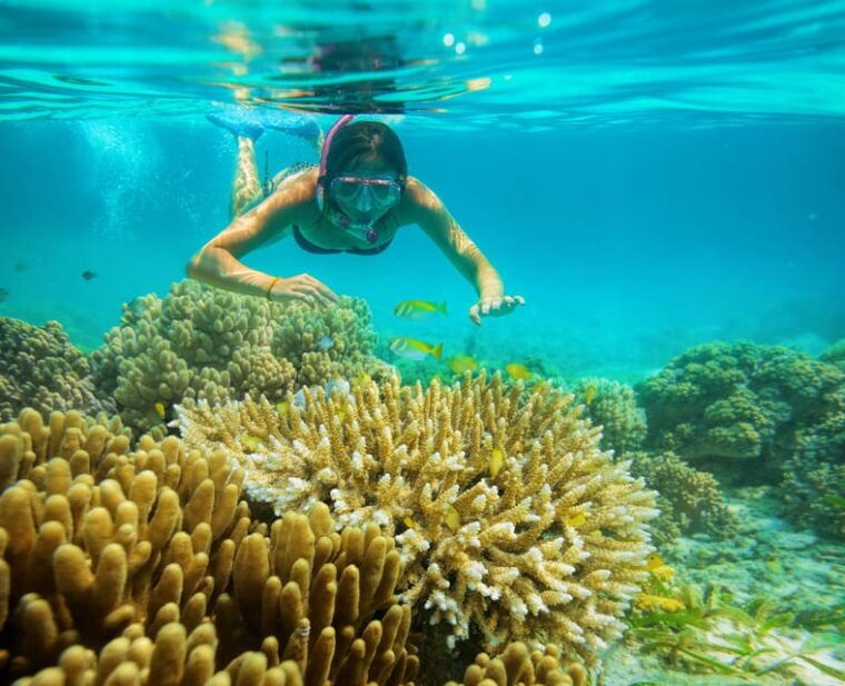 isla-mujeres-catamaran-snorkeling-open-bar-and-buffet