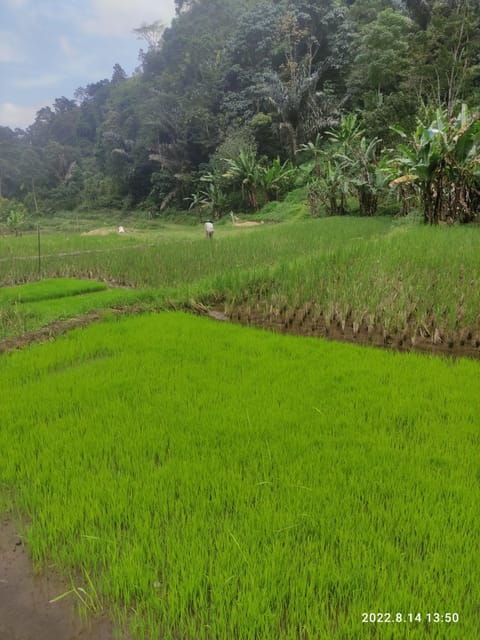 jakarta-active-volcano-waterfall-beautiful-local-village