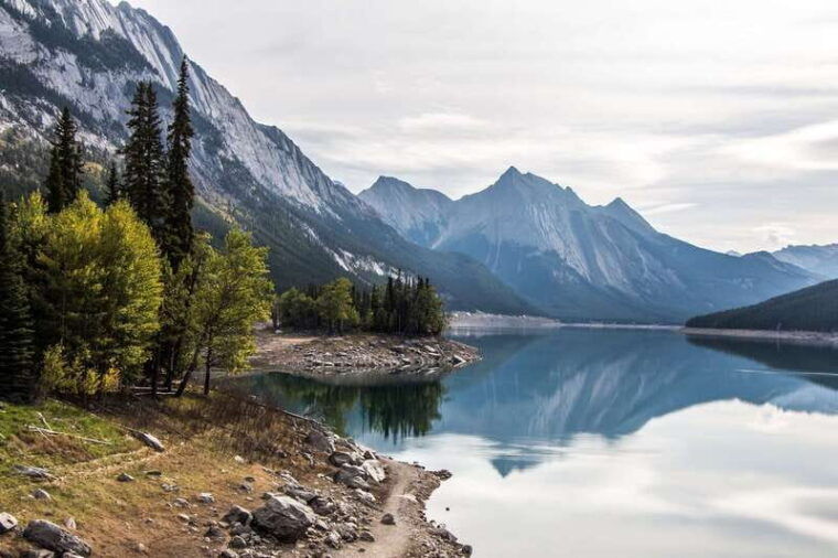 jasper-maligne-valley-wildlife-watching-boat-tour