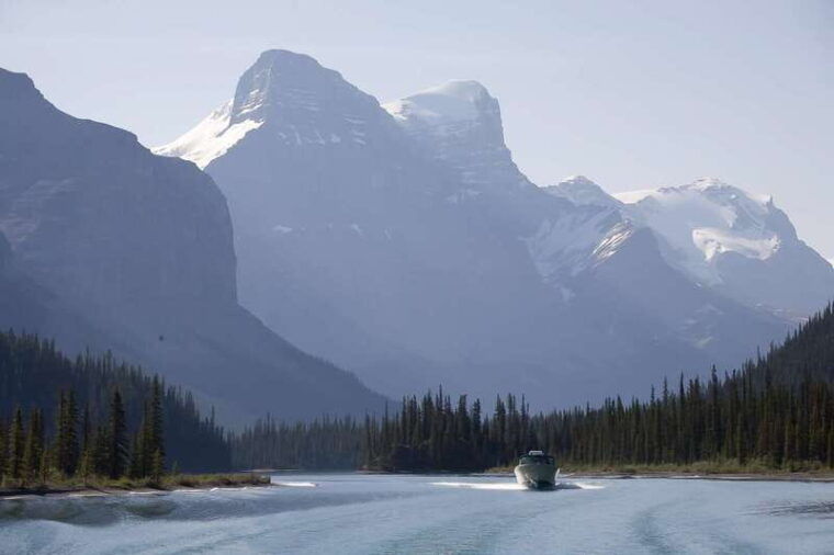 jasper-wildlife-and-waterfalls-tour-with-maligne-cruise