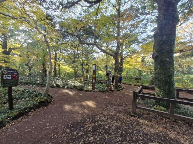 jeju-island-eastern-tour-for-leisurely-walkers