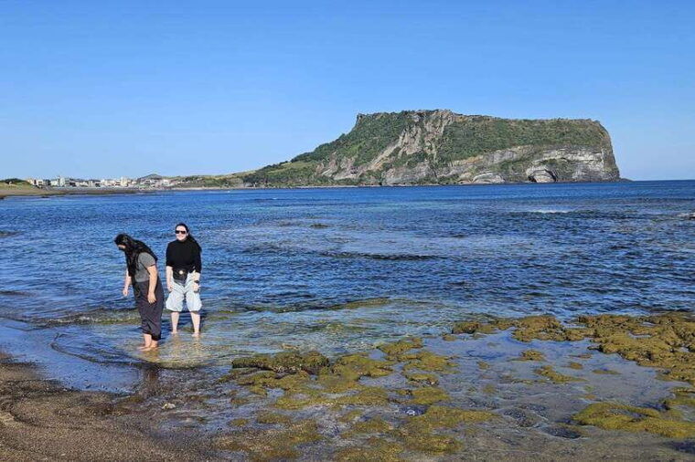 jeju-island-explore-unesco-world-heritage-sites-by-bus
