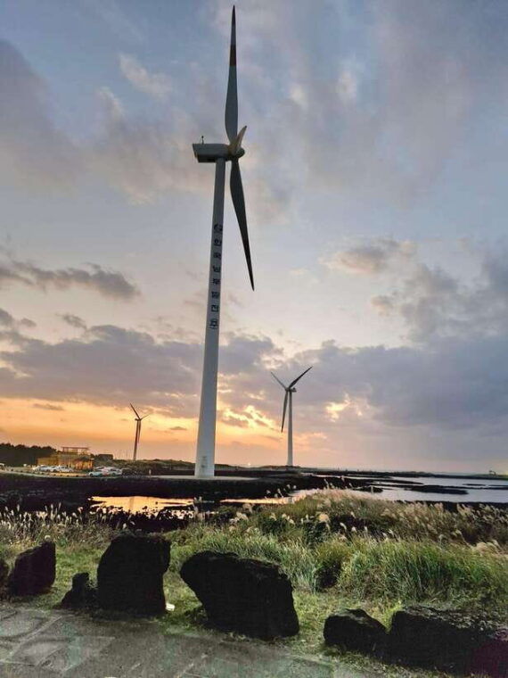 jeju-island-private-tour-with-driving-guide