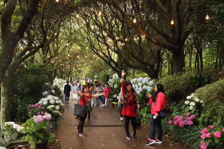 jeju-island-van-tour-with-a-guide-who-the-most-loves-jeju