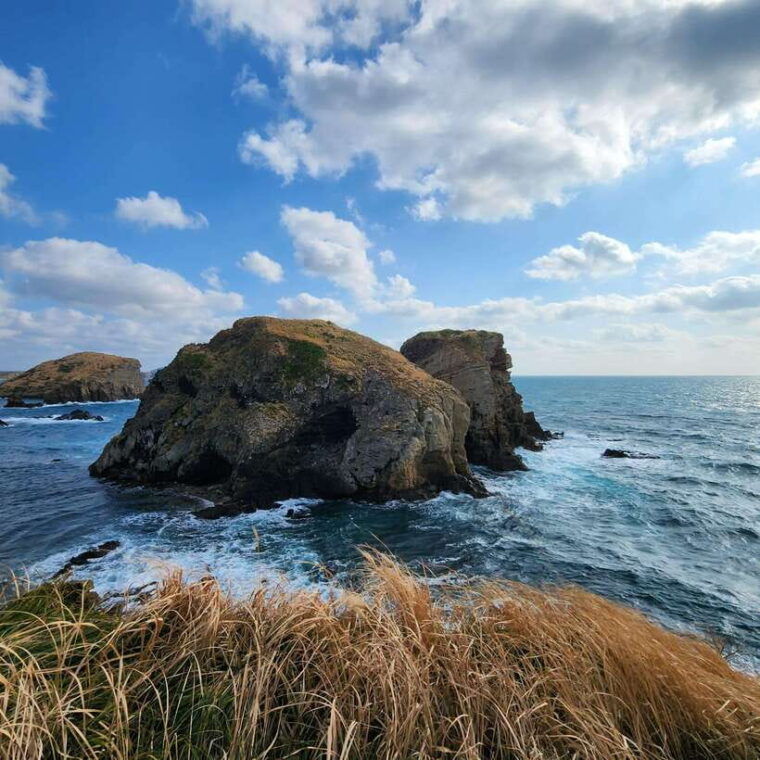 jeju-popular-sightseeing-private-car-charter-tour