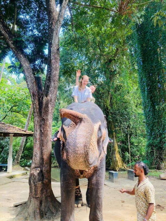 kandy-city-tour-with-pinnawala-tuk-tuk-ride
