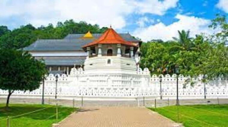 kandy-pinnawala-tea-factory-full-day-tour-from-colombo