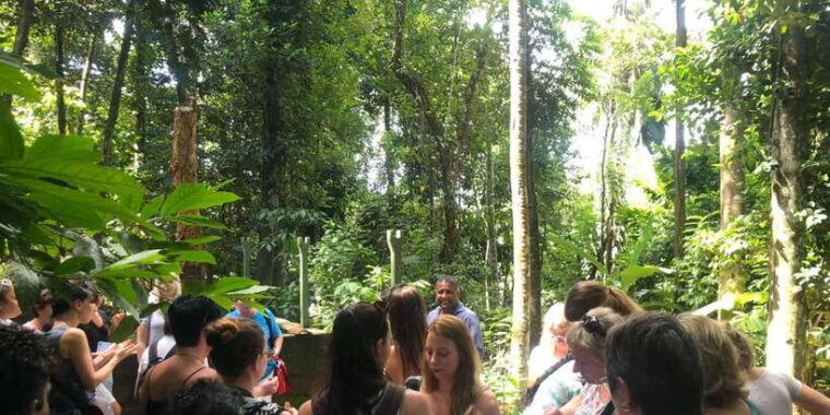 kandy-to-ambuluwawa-tower-day-tour