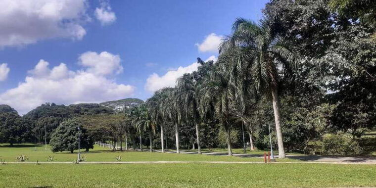 kandy-to-sigiriya-day-tour