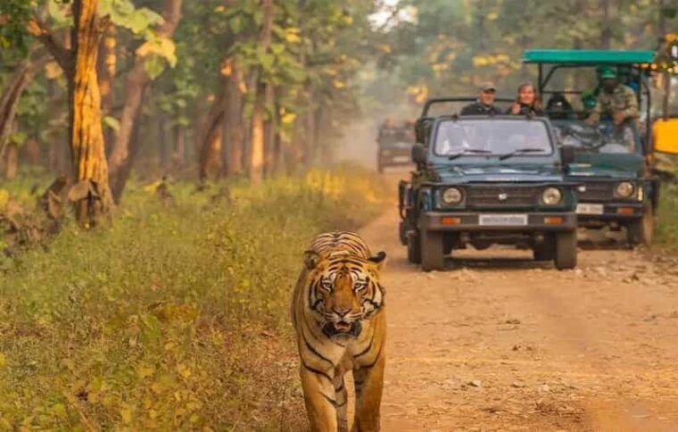 kathmandu-4-day-private-chitwan-national-park-safari-tour