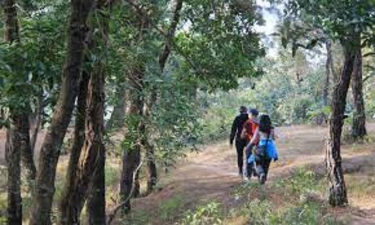 kathmandu-private-one-day-nagarkot-sunrise-and-hiking-trip