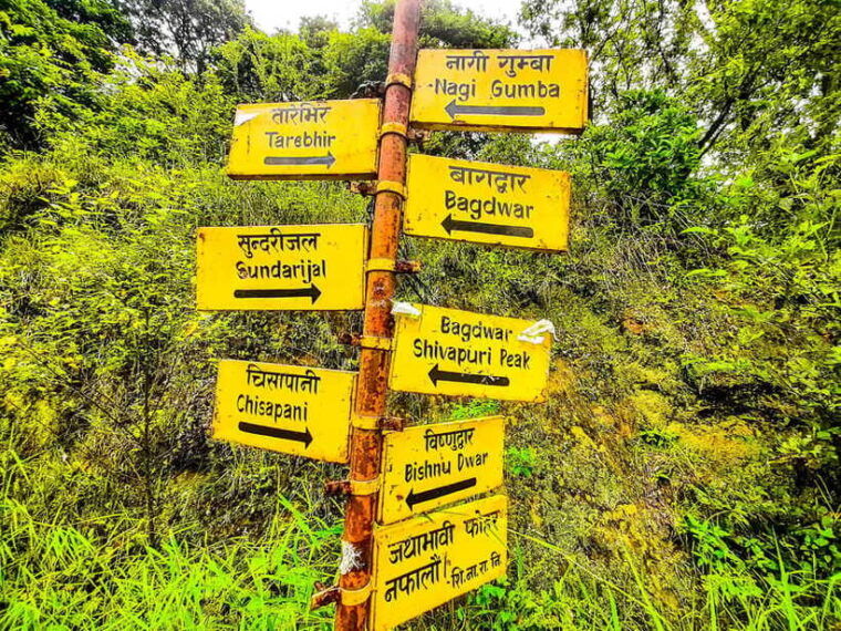 kathmandu-shivapuri-national-park-top-day-hike-with-lunch