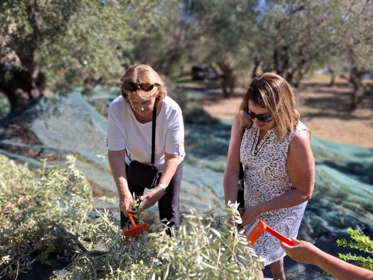 kefaloniaprivate-olive-oil-honey-wine-tasting-experience
