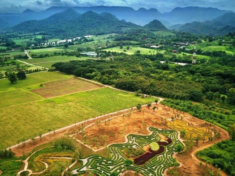 khao-yai-vineyard-tasting-tour-horse-farm-visit