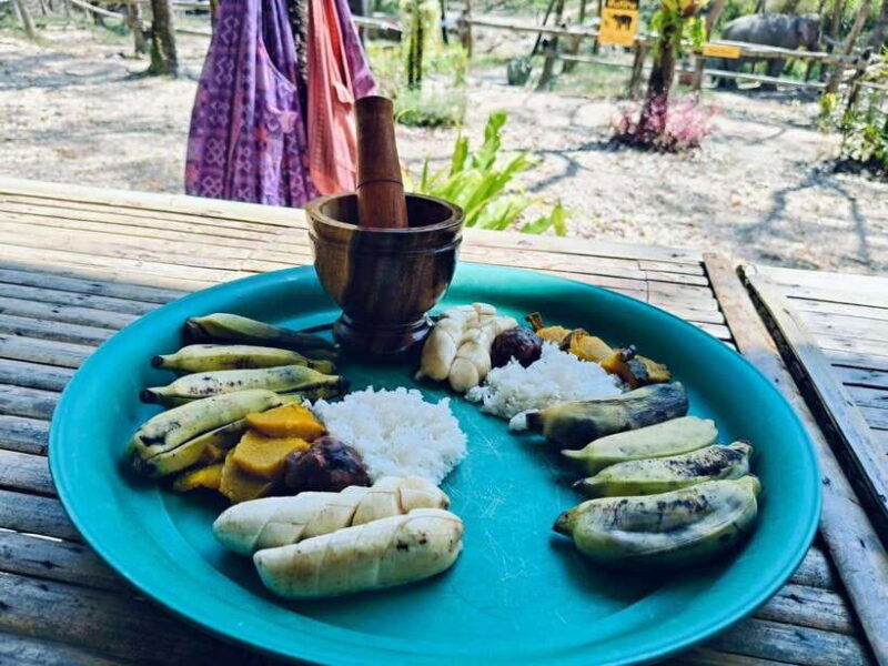 khaolak-ethical-elephant-sanctuary-snack-making-feeding