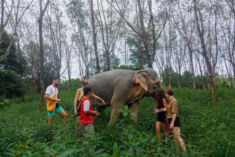 khaolak-hightlight-jungle-trekking-with-eco-guide-day-tour