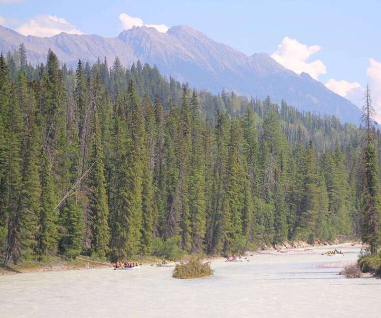 kicking-horse-river-half-day-intro-to-whitewater-rafting