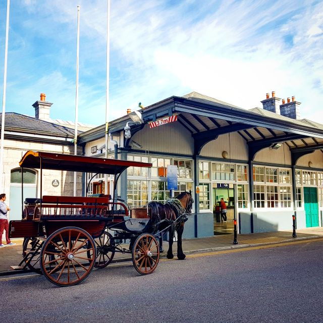 killarney-1-hour-jaunting-car-horse-and-carriage-tour