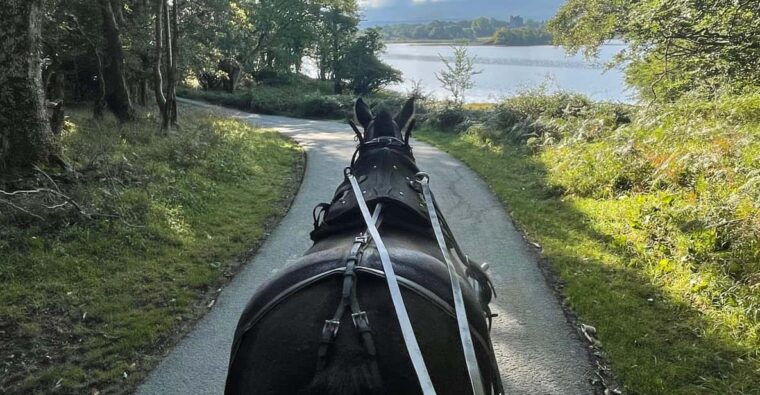 killarney-carriage-tours-national-park-and-lakes