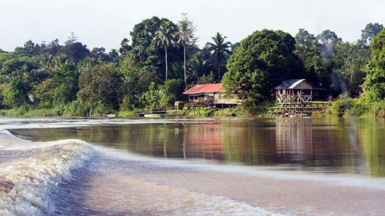 kinabatangan-river-trip-from-sandakan-with-lunch-included