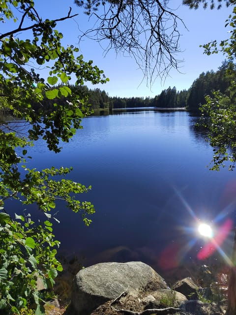kintulammi-nature-experience-nature-reserve-near-tampere