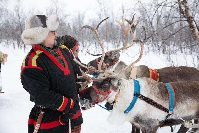 kiruna-sami-reindeer-experience