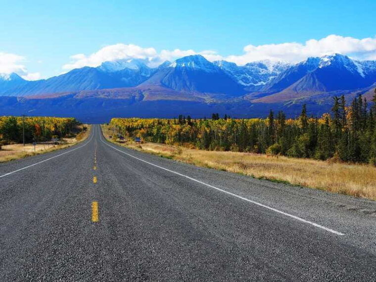 kluane-national-park-full-day-tour