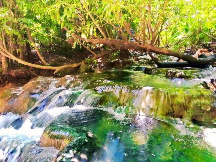 ko-lanta-full-day-emerald-poolhot-spring-with-tiger-temple
