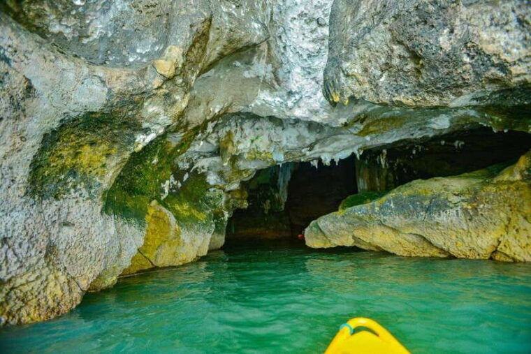 ko-lanta-full-day-mangrove-and-sea-cave-kayaking-experience