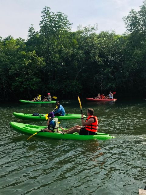 ko-lanta-half-day-mangrove-kayaking-tour-with-lunch