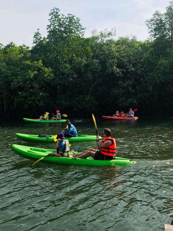 koh-lanta-amazon-mangrove-kayaking-tour-with-lunch