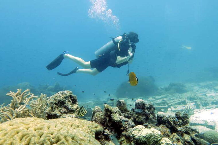 koh-samui-discover-scuba-diving