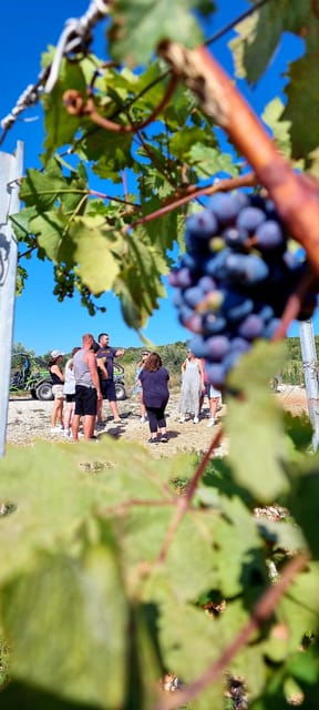 korcula-buggy-tour-including-our-local-food-and-wine-tasting