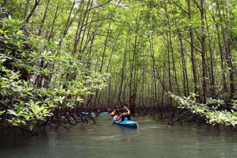 krabi-emerald-cool-down-kayak-odyssey-in-din-daeng-canyon