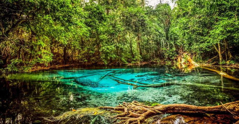 krabi-tiger-cave-temple-emerald-pool-and-hot-springs-tour-2