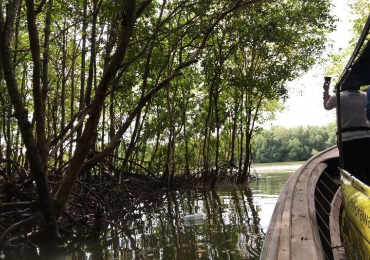 krabi-twin-mountains-koh-klang-local-community-tour