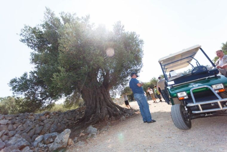 krk-boat-trip-to-rab-pag-with-sightseeing-swimming