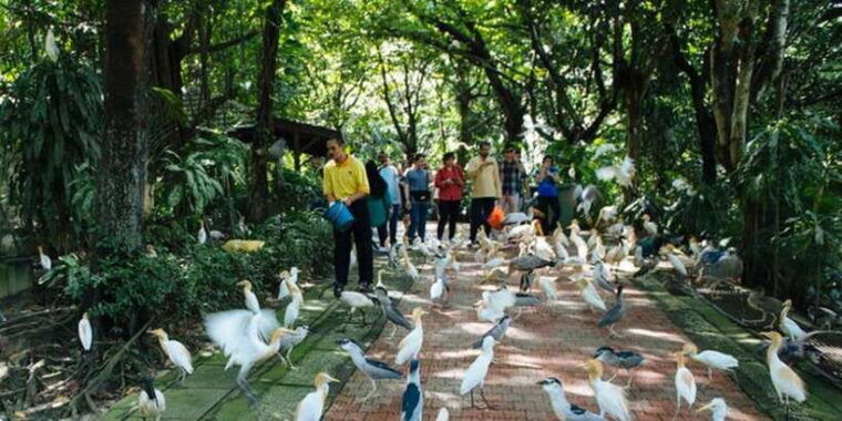 kuala-lumpur-bird-park-butterfly-garden-private-tour