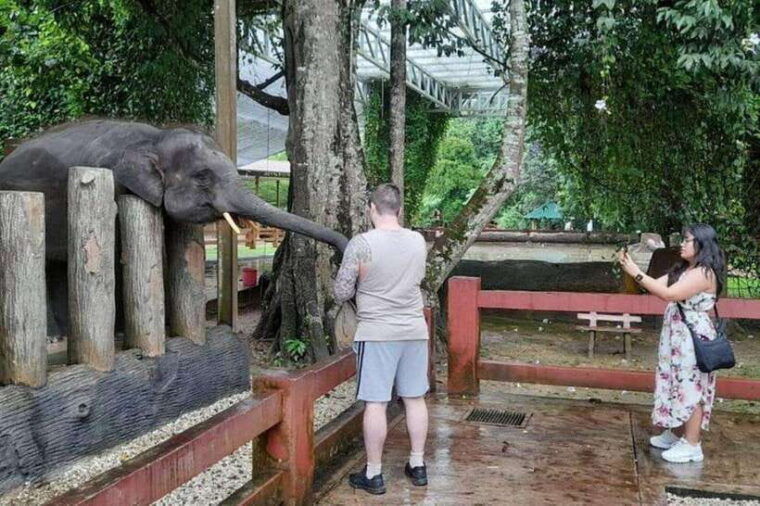 kuala-lumpur-kuala-gandah-and-batu-caves-private-trip