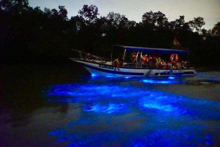 kuala-lumpur-kuala-selangor-fireflies-and-blue-tears-tour