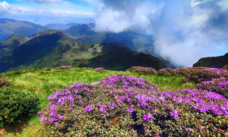 kunming-jiaozi-sedan-chair-snow-mountain-hiking-day-trip