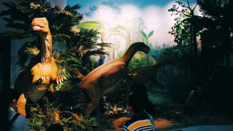 kunming-yunnan-provincial-museum-entry-reservation