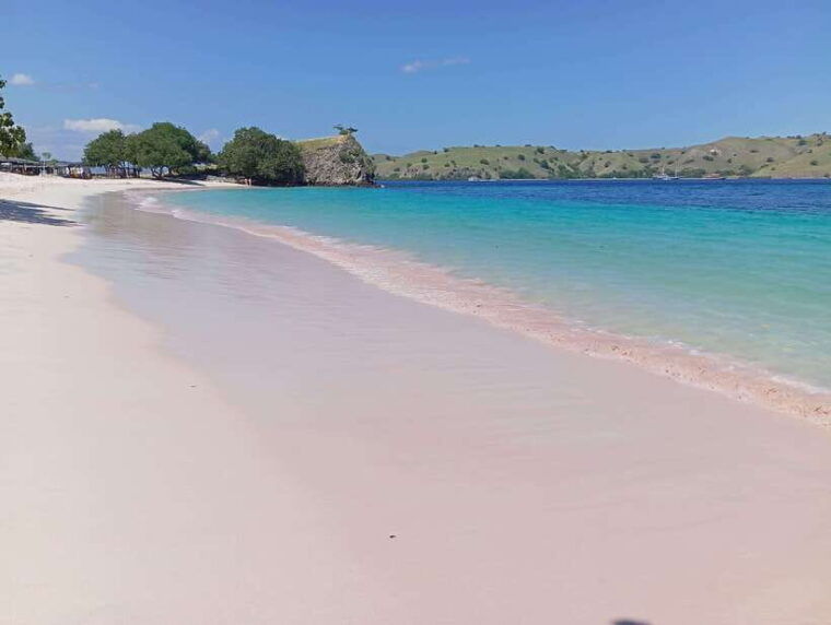 labuan-bajo-one-day-tour-to-explore-komodo-national-park
