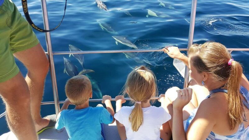lagos-dolphin-watching-catamaran-cruise