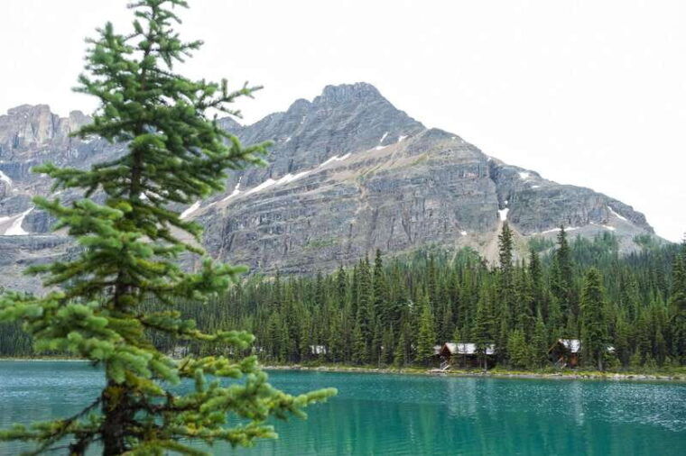 lake-louise-moraine-louise-lake-half-day-highlights-tour