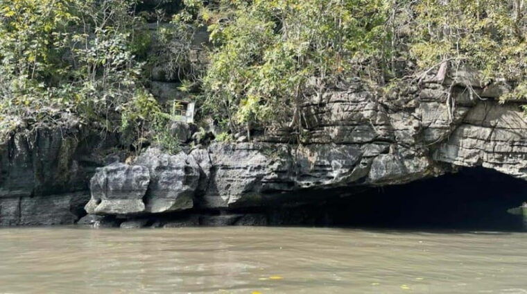 langkawi-half-day-private-kilim-river-mangrove-boat-tour