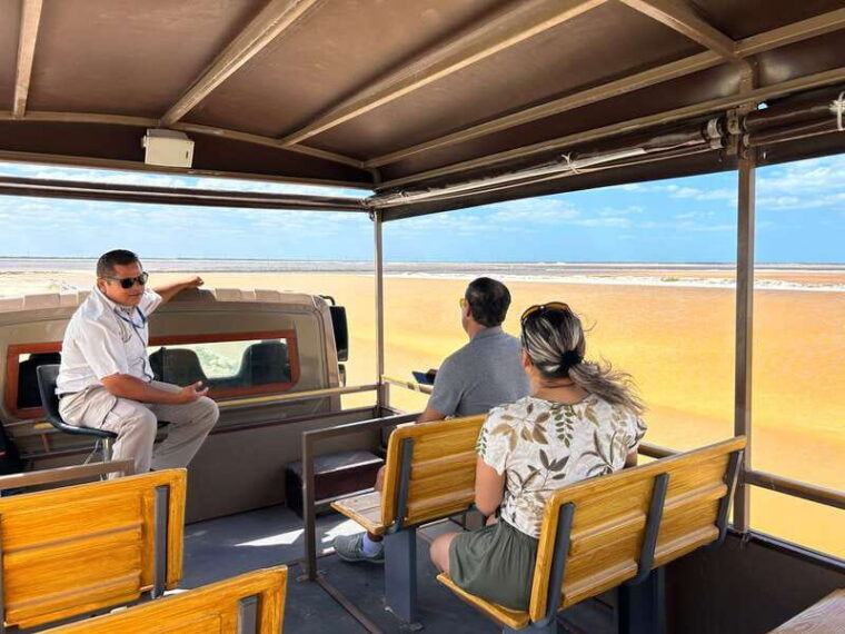 las-coloradas-pink-lakes-safari-tour