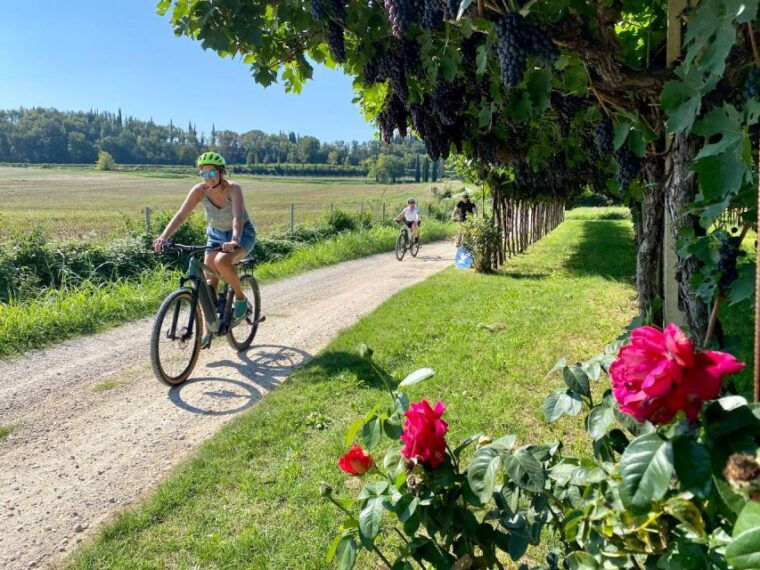Lazise: Countryside E-Bike Tour With Wine Tasting - The Sum Up